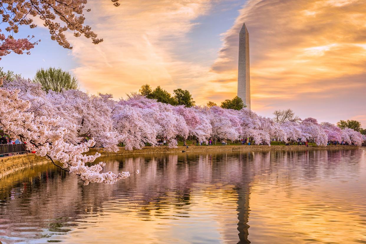 Washington, D.C. in spring