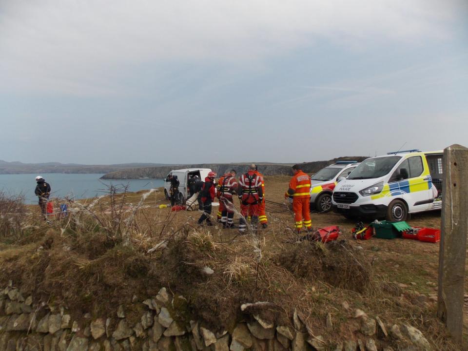 RSPCA and fire staff are in the middle of a rescue operation after 66 sheep were scared onto cliff faces in Pembrokeshire. The animal charity believes the operation will take days. (RSPCA).