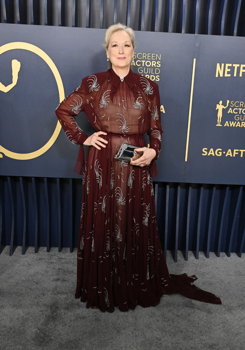 Meryl Streep attends the 30th Annual Screen Actors Guild Awards held at the Shrine Auditorium & Expo Hall on February 24, 2024 in Los Angeles, California.