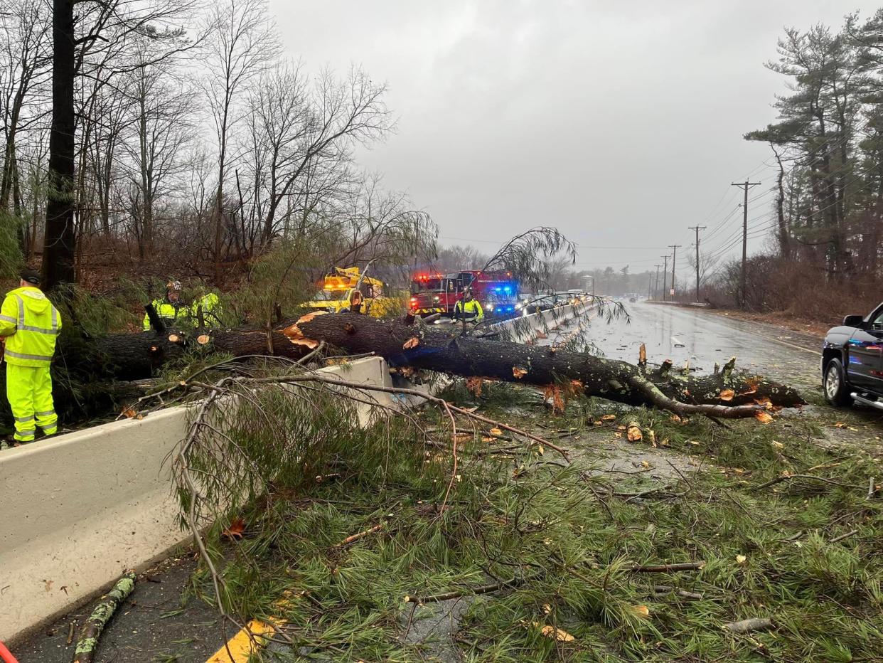 A fallen tree closed a portion of Route 9 eastbound in Southborough, between White Bagley Road and Woodland Road, Dec. 18, 2023. Trees were downed and power was lost in several MetroWest and Greater Milford communities on Monday.
