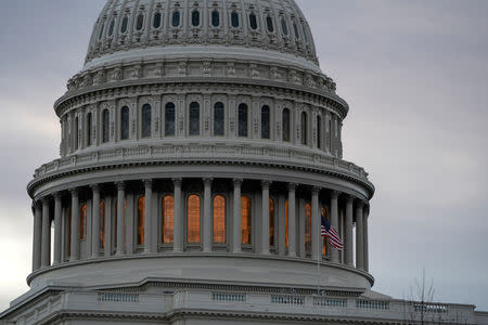 FILE PHOTO: The U.S. Capitol is shown after the U.S. government reopened with about 800,000 federal workers returning after a 35-day shutdown in Washington, U.S., January 28, 2019. REUTERS/Joshua Roberts/File Photo