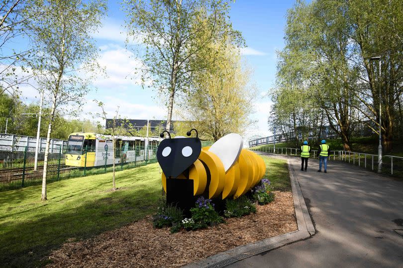 A giant bee on the walking route -Credit:ABNM Photography