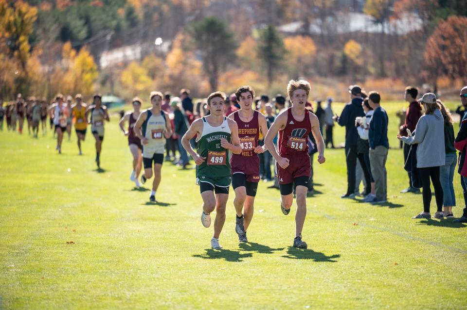 The front of the pack nears the end of the first lap in the Division 1 boys' race at the Central Mass. XC Championships at Gardner Municipal Golf Course.