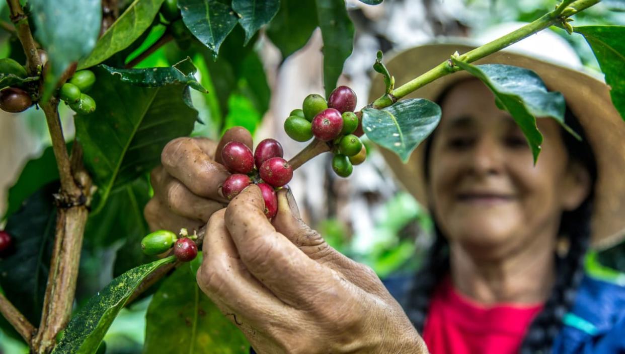 What's fair trade coffee--and why should it matter to you?