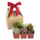<p><strong>Succulents</strong></p><p>amazon.com</p><p><strong>$22.46</strong></p><p><a href="https://www.amazon.com/dp/B08T5J7SW8?tag=syn-yahoo-20&ascsubtag=%5Bartid%7C2139.g.35184277%5Bsrc%7Cyahoo-us" rel="nofollow noopener" target="_blank" data-ylk="slk:Shop Now;elm:context_link;itc:0" class="link ">Shop Now</a></p><p>Succulents are one of the easiest groups of <a href="https://www.menshealth.com/technology-gear/g38809454/best-indoor-plants/" rel="nofollow noopener" target="_blank" data-ylk="slk:indoor plants;elm:context_link;itc:0" class="link ">indoor plants</a> to keep alive. This little garden gift box is a nice way to add a little green to your partner's home.</p>