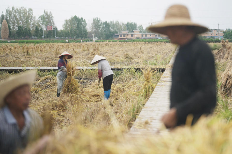 China Food Production (Fred Dufour  / NBC News)