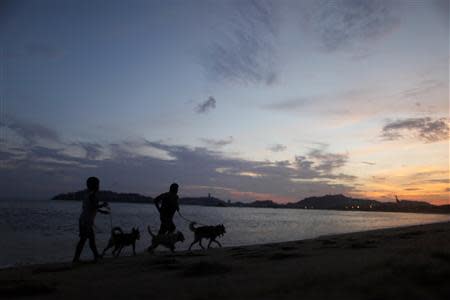 Residents run with their dogs on a beach in Acapulco, October 1, 2013. REUTERS/Edgard Garrido