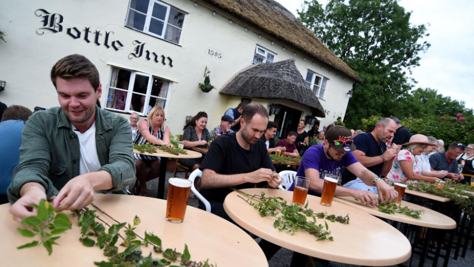 British country sports: nettle eating