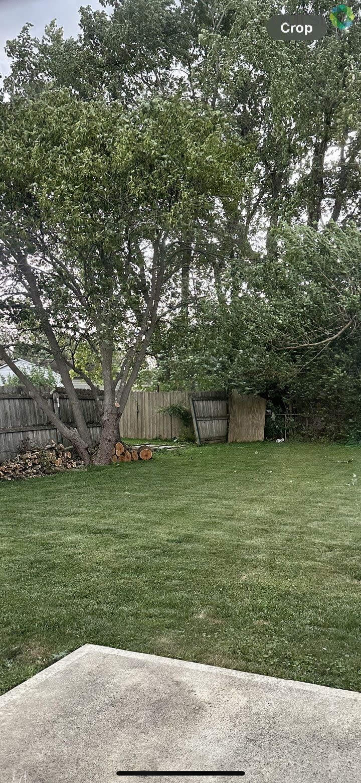 Storm Damage Across Miami Valley