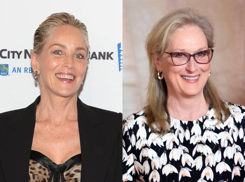 Sharon Stone, Meryl Streep