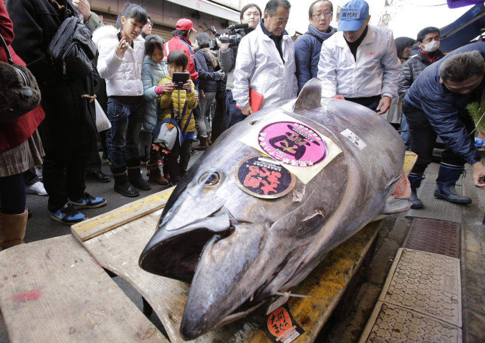 People watch a bluefin tuna laid in front of a sushi restaurant near Tsukiji fish market after the year's celebratory first auction, in Tokyo Sunday, Jan. 5, 2014. Japanese eat about 80 percent of all bluefin tuna caught worldwide, though demand is growing as others acquire a taste for the tender, pink and red flesh of the torpedo-shaped speedsters of the sea. (AP Photo/Shizuo Kambayashi)