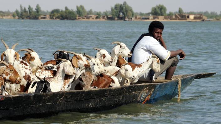 Boatman on the Niger River