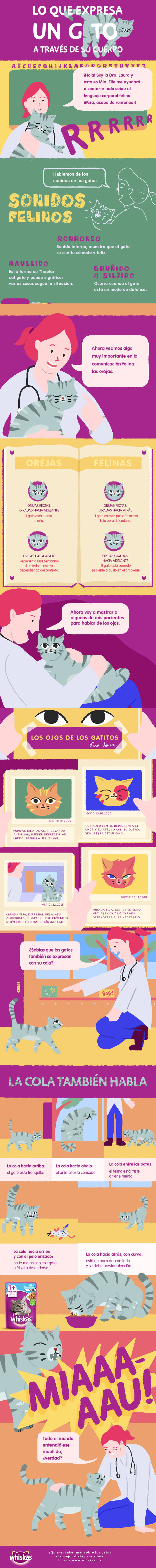 Infografía: Lo que expresa un gato a través de su cuerpo (Contenido promocional)