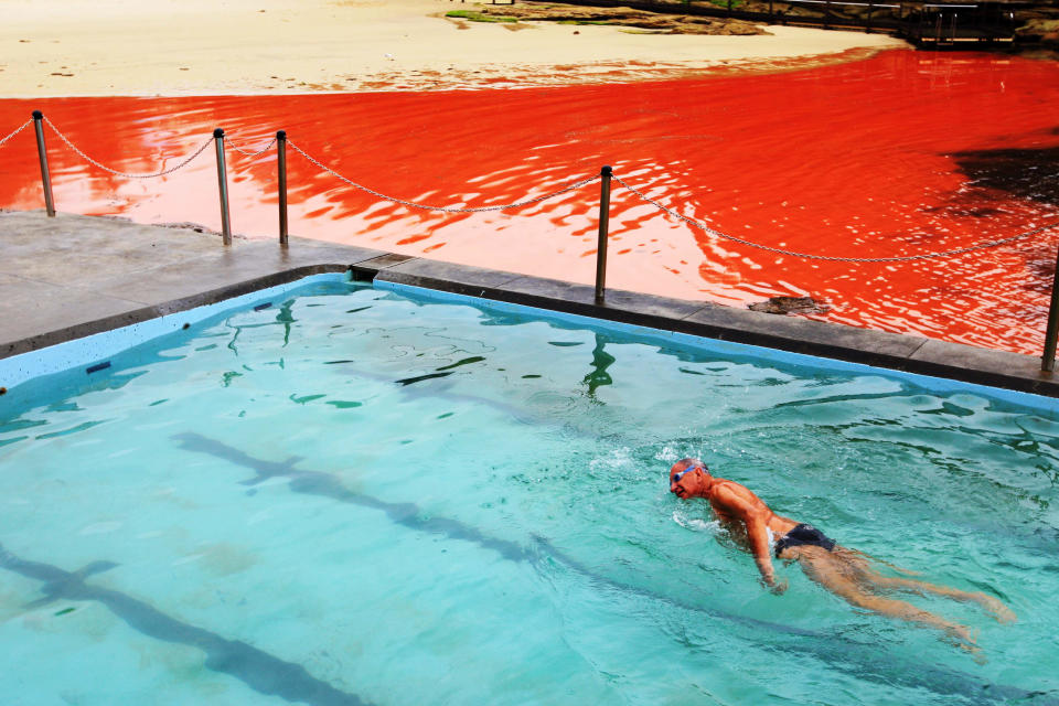 Un bañista nada en una piscina en la costa de una playa de Sídney. (Newspix/Rex/Rex USA )