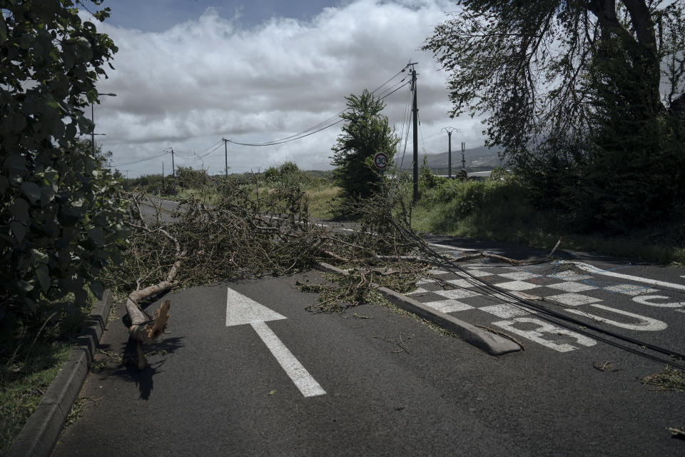 Trees fell on the road in Saint-Paul, on the French Indian Ocean island of Reunion, Tuesday, Jan. 16, 2024. Tropical cyclone Belal had battered the French island of Reunion, where the intense rains and powerful winds left about a quarter of households without electricity after hitting Monday morning, according to the prefecture of Reunion. (AP Photo/Lewis Joly)