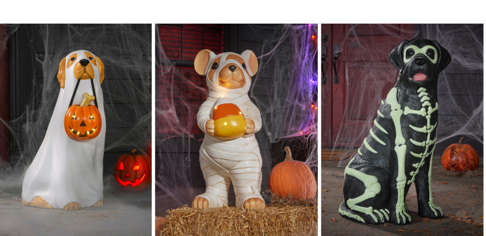 A cute ghost golden retriever, mummy mouse and glow-in-the-dark lab.