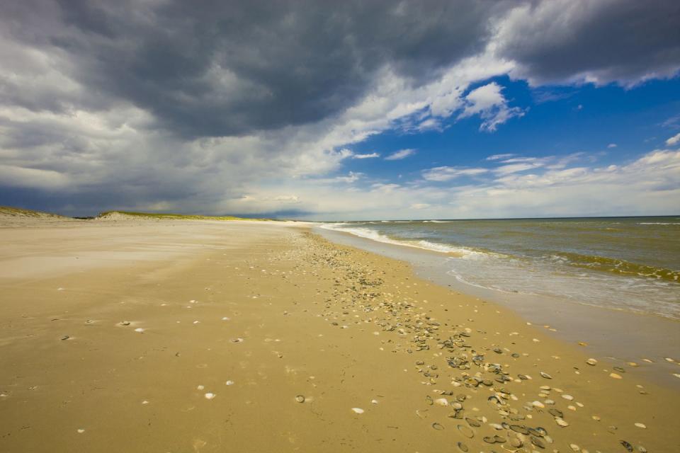 New Jersey: Island Beach State Park