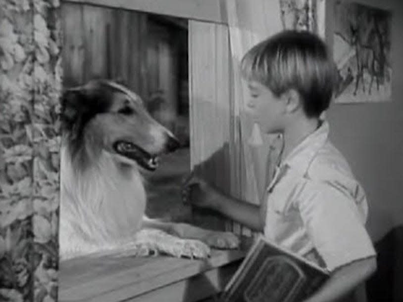 lassie season 1 1954