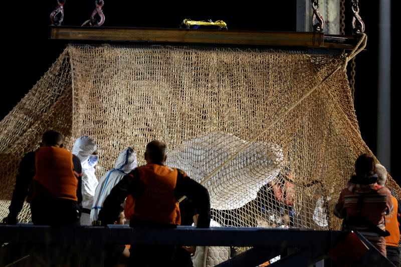 Beluga whale strayed into France's Seine river