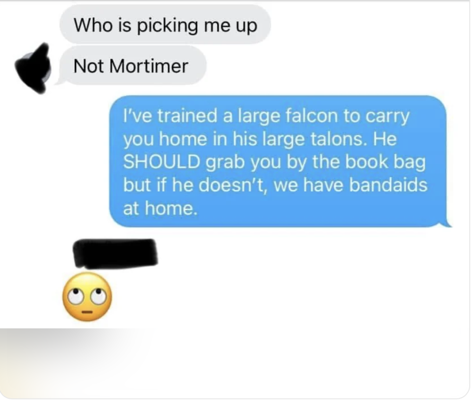 Text conversation: "Who is picking me up?" "Not Mortimer" Reply: "I've trained a large falcon to carry you home in his large talons..." with eye-roll emoji