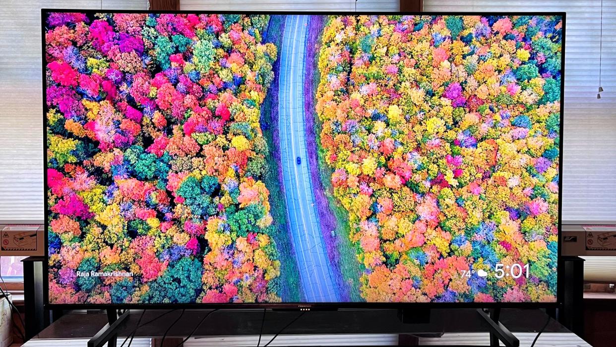  Hisense U8K with onscreen image of colorful trees. 