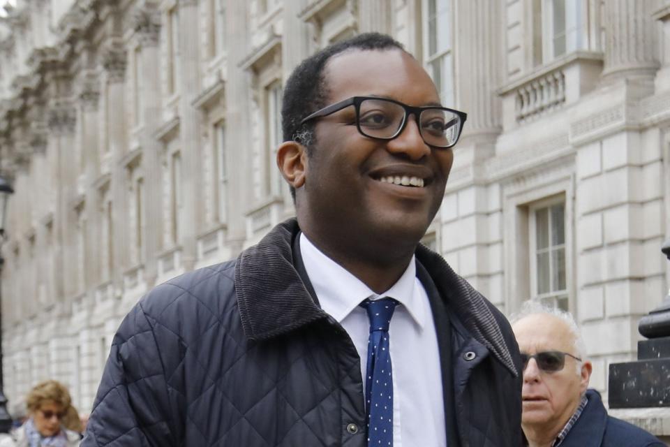 Brexit Minister Kwasi Kwarteng has downplayed the Whitehall dossier on no-deal Brexit (AFP/Getty Images)