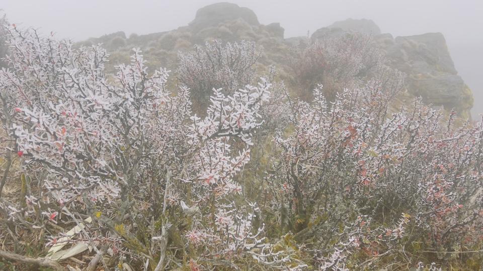 6日玉山氣象站(玉山北峰)觀測到霧淞。圖/中央氣象署提供