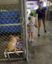 In this Oct. 10, 2013, photo, Brittney Butler and her daughter Bristol Butler, 3, of Flomaton, Ala., look at Pit Bulls available for adoption at the Villalobos Rescue Center, run by Tia Maria Torres of Animal Planet's "Pit Bulls and Parolees," in New Orleans. Torres, who runs the nation’s largest pit bull rescue center and has long paired abused and abandoned dogs with the parolees who care for them, has moved her long-running reality TV series from southern California to New Orleans, where hurricanes and overbreeding have left many pit bulls abandoned or abused. (AP Photo/Gerald Herbert)