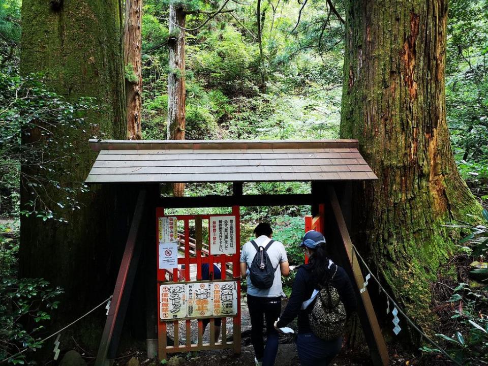 Once one passes through the gate in between those two sacred pine trees, one leaves the mortal world behind.