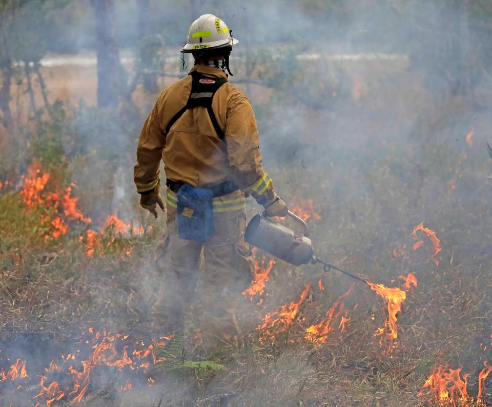 James Lucas’ from Volusia County Fire Rescue uses a drip torch in a prescribed burn during the Southern Area Engine Academy on Tuesday, Jan.23, 2024.