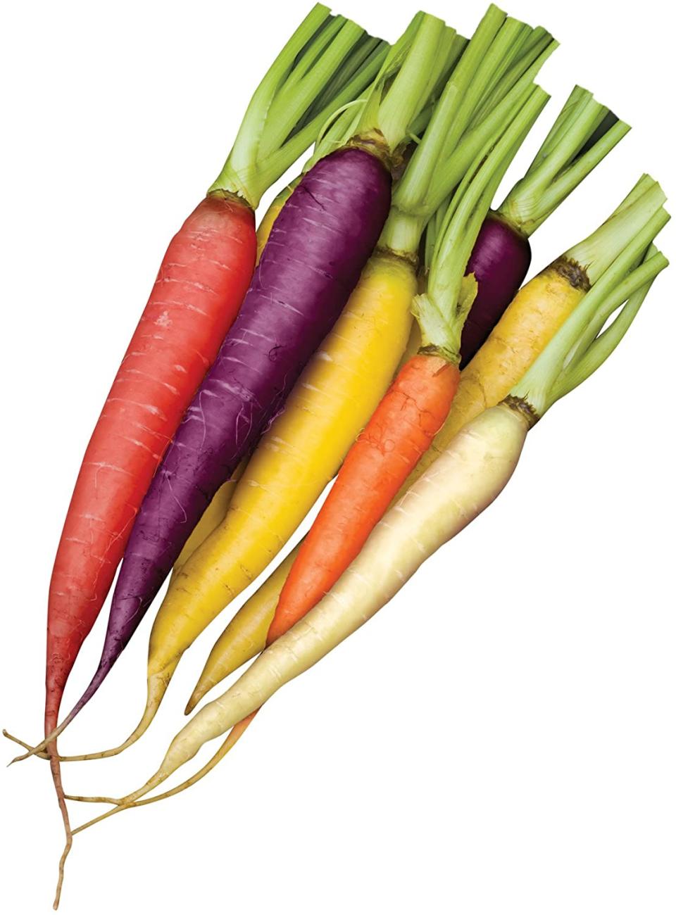 Carrots of all colors.