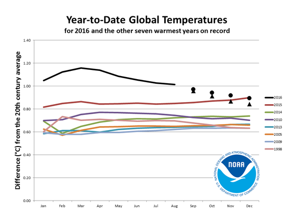 Global average surface temperature anomaly horserace for 2016 compared to previous warmest years. Triangles show scenario involving 1998 monthly average temperatures, while circles follow scenario in which September to December match 21st century monthly average temperatures.