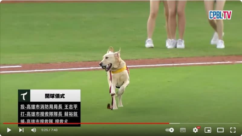搜救犬咬著球在澄清湖球場的草皮狂奔。（圖／翻攝自CPBLTV）