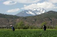 FILE PHOTO: Farmer plough their field in Lijiang