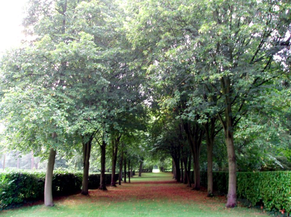 Whipsnade Tree Cathedral, Dunstable, Bedfordshire