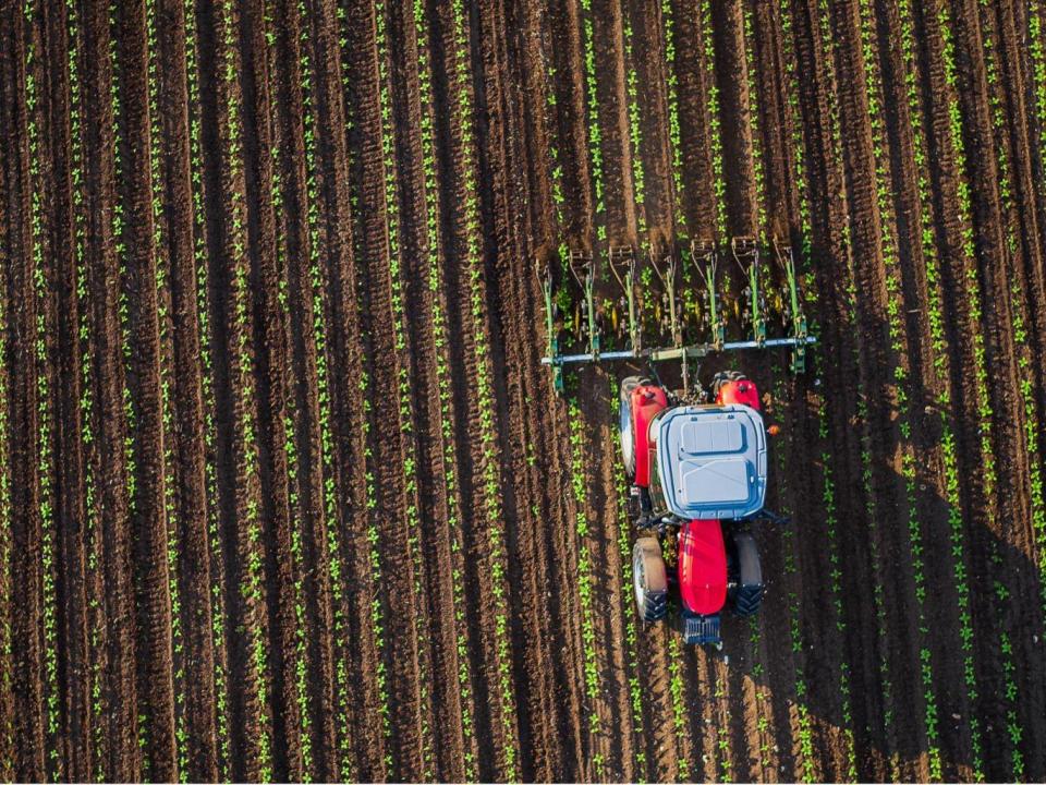 The MEPs represent farming areas and sit on the European parliament’s agriculture committee (Getty)