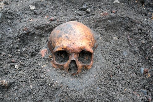   <span class="attribution"><a class="link " href="https://www.shutterstock.com/image-photo/archaeological-excavation-old-antique-skull-still-794019970?src=dad0525b-e930-4aed-9129-5d96d003e023-1-12" rel="nofollow noopener" target="_blank" data-ylk="slk:EsHanPhot/Shutterstock;elm:context_link;itc:0;sec:content-canvas">EsHanPhot/Shutterstock</a></span>