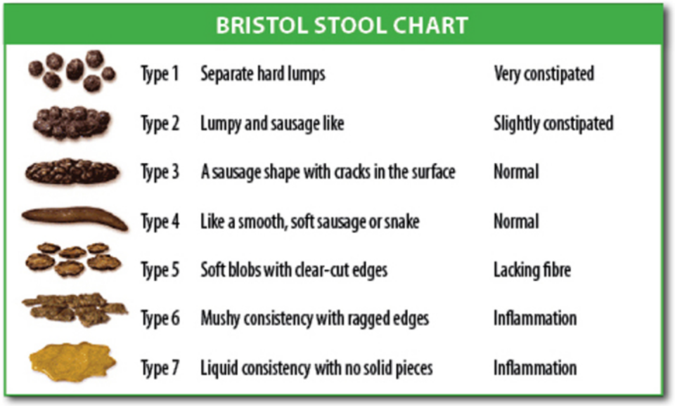 bristol stool chart