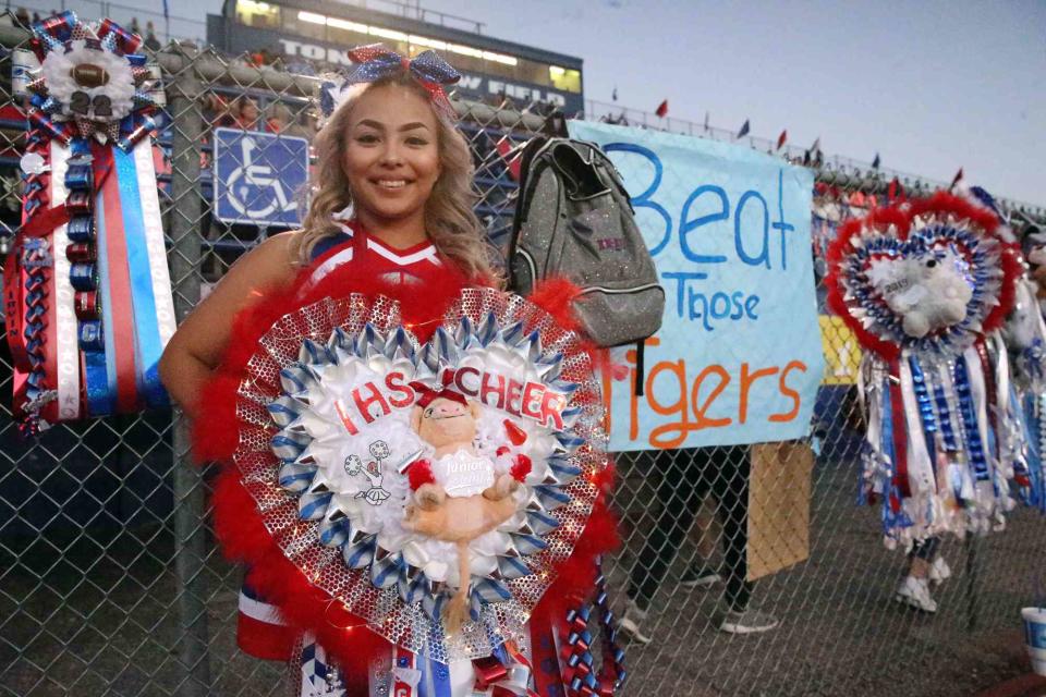 <p>Rudy Gutierrez/USA Today</p> Mums come in all sizes in El Paso, Texas