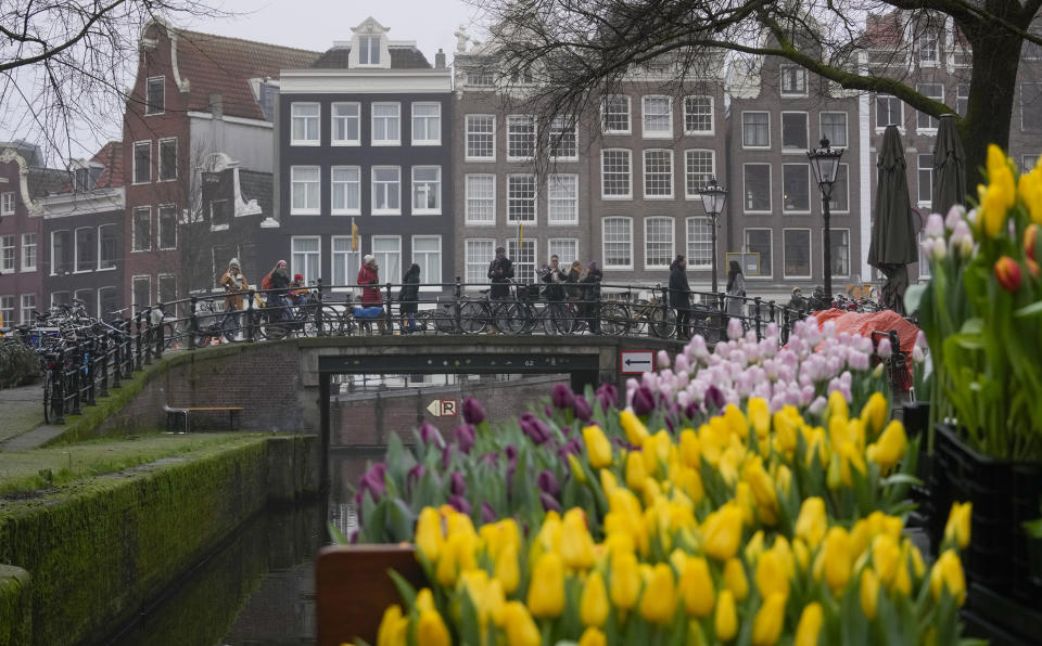 People wait on bridges for a free bouquet of tulips in Amsterdam, Netherlands, Saturday, Jan. 15, 2022. Stores across the Netherlands cautiously re-opened after weeks of coronavirus lockdown, and the Dutch capital's mood was further lightened by dashes of color in the form of thousands of free bunches of tulips handed out by growers sailing with a boat through the canals. (AP Photo/Peter Dejong)