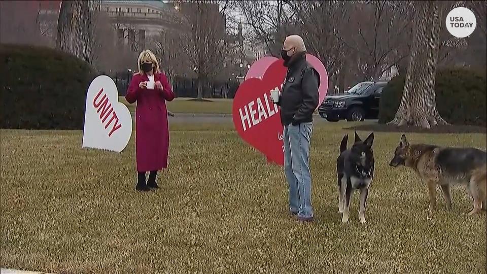 President Joe Biden and first lady Jill Biden appear on the White House front lawn with their dogs to check out the White House Valentine's Day decorations.