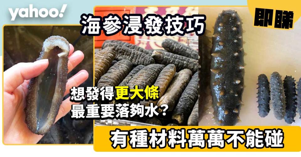 海參浸發│想發得更大條最重要落夠水？有種材料萬萬不能碰！