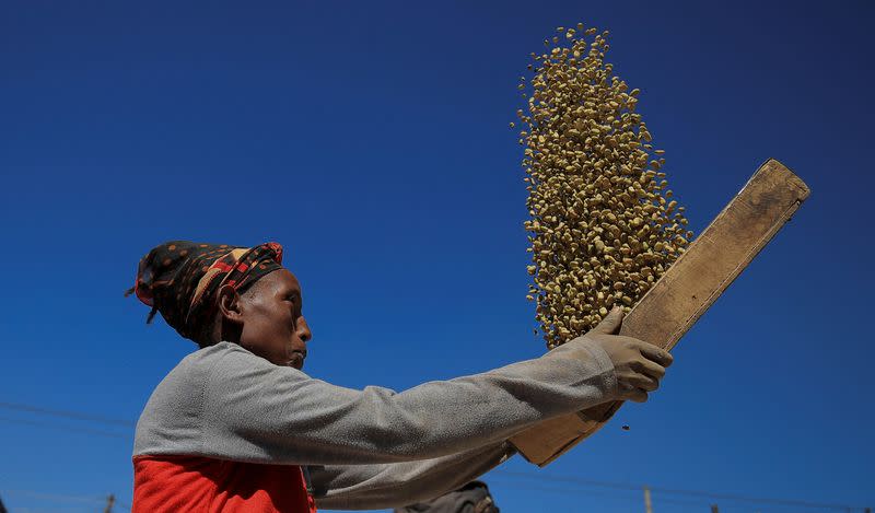 Woman winnows beans at the grain market in Merkato neighbourhood of Addis Ababa