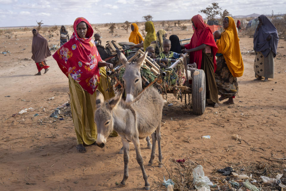 Un grupo de somalíes que le escapan a una sequía llega a un campamento para desplazados en las afueras de Dollow (Somalia) el 21 de septiembre del 2022. (AP Photo/Jerome Delay)