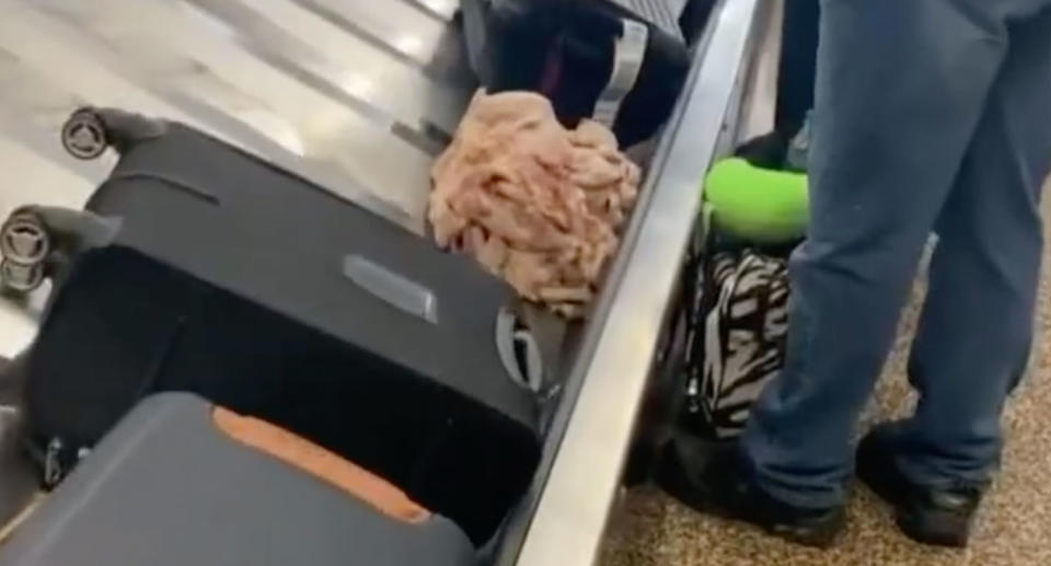 A pile of raw chicken was seen going around the baggage collection carousel. Source: TSA/Instagram