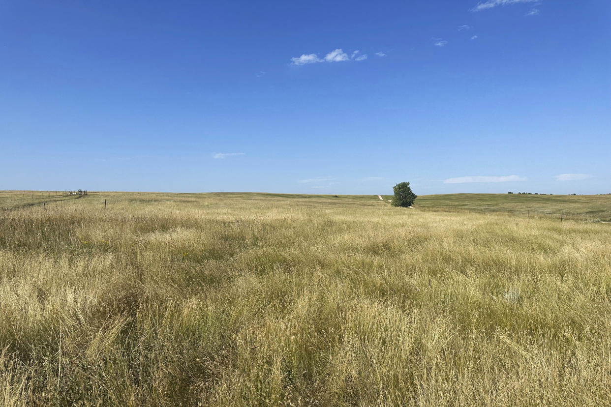 Una organización sin fines de lucro dirigida por nativos americanos dice que compró 40 acres en Black Hills de Dakota del Sur