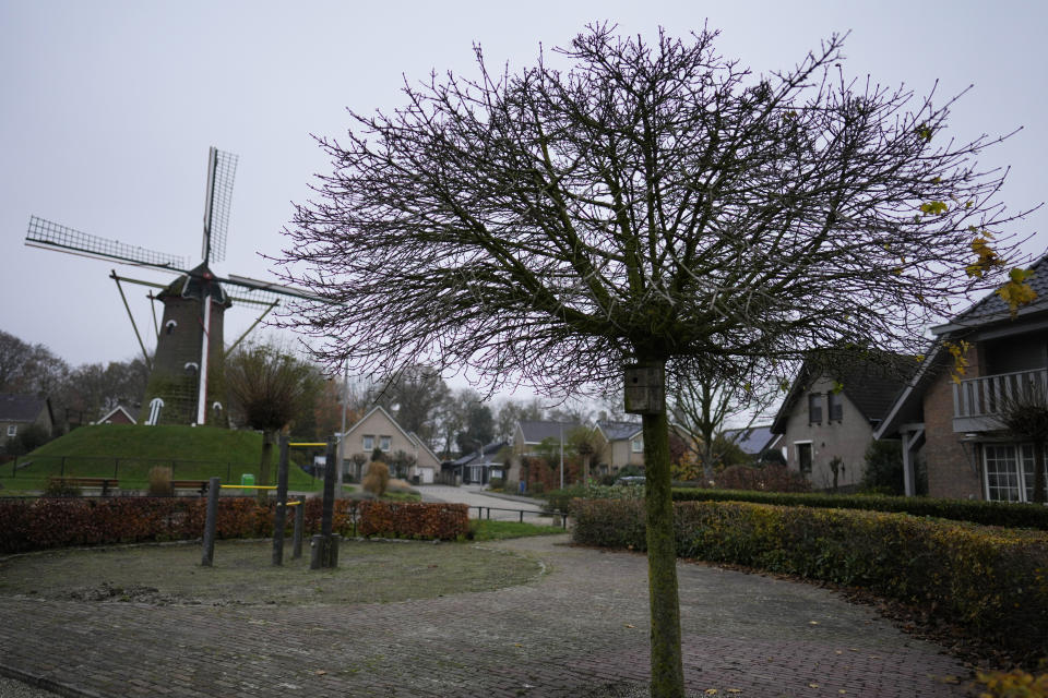 A tree with a birdhouse and a windmill sit in the center of a small housing development in Sprundel, Netherlands on Friday, Dec. 1, 2023. In the quiet Dutch village of Sint Willebrord, nearly three out of four voters chose a virulently anti-migrant, anti-Muslim party in an election last year that shattered the Netherlands' image as a welcoming, moderate country. Analysts say far-right parties are primed to gain influence over EU policies affecting everything from civil rights to gender issues to immigration. (AP Photo/Virginia Mayo)