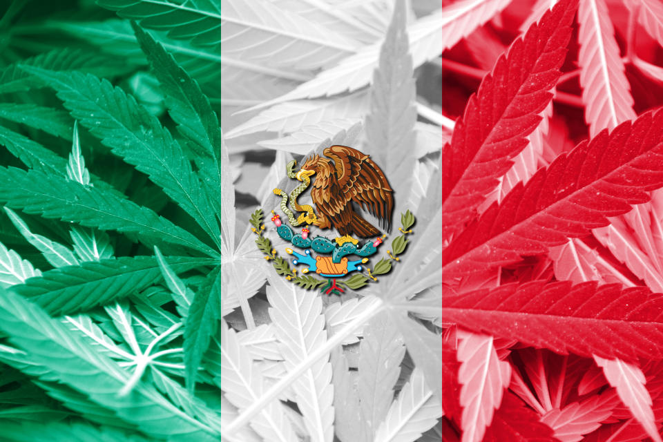 The Mexican flag, with cannabis leaves as the background.
