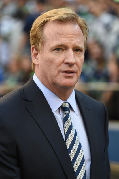 NFL commissioner Roger Goodell has said he didn't view the Ray Rice video. (USA Today)