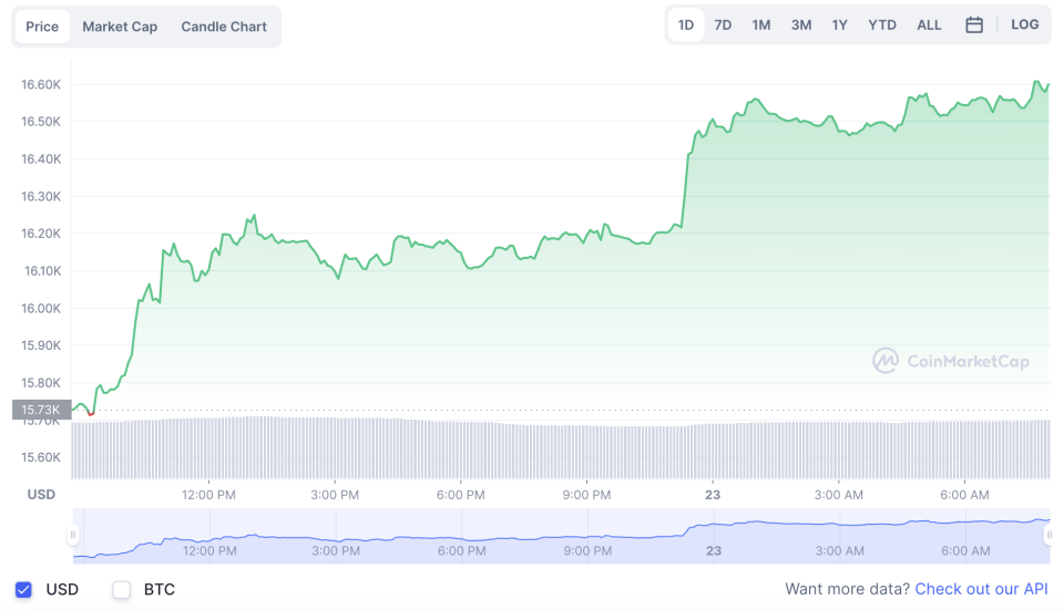 La variación del precio del Bitcoin en el último año. Fuente: coinmarketcap.com.